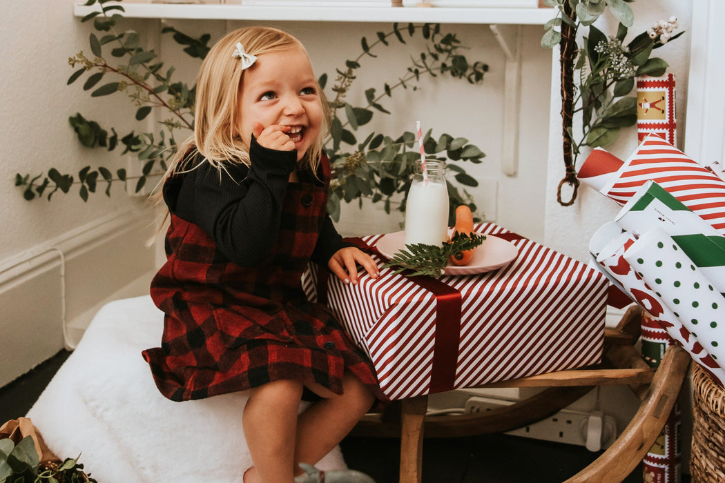 Juniper Stripe Wrapping Paper